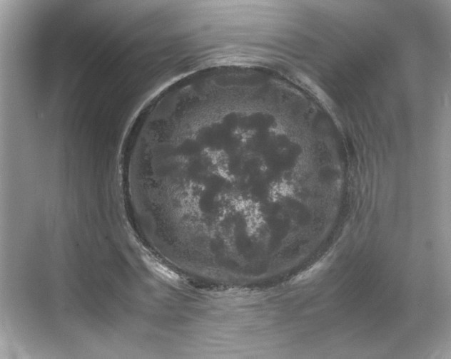 X0000070410779200606121329