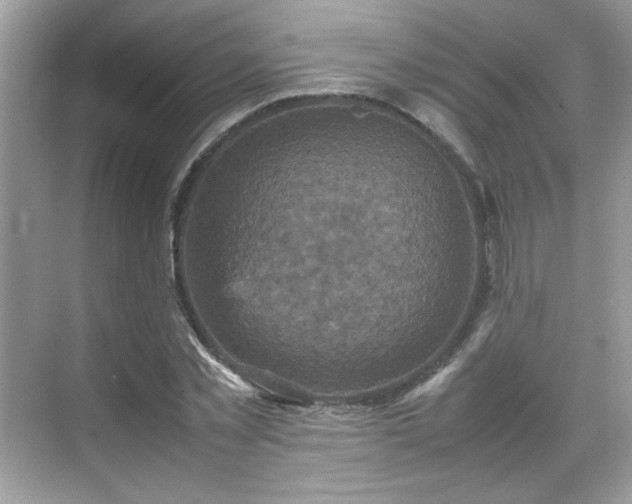 X0000070410781200606121329