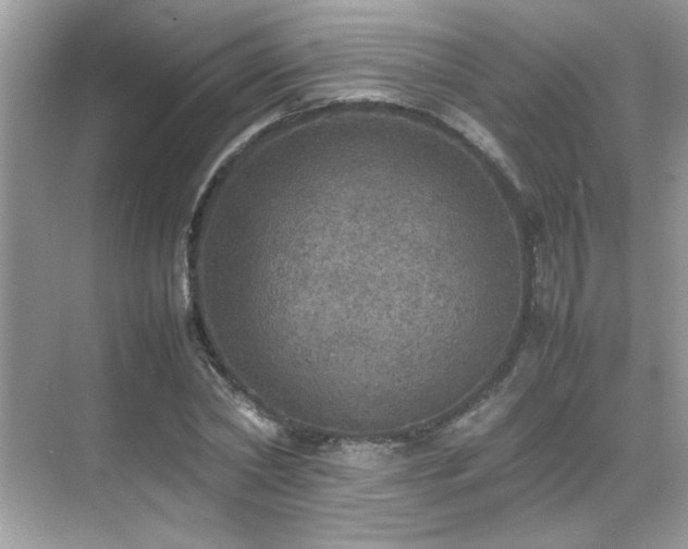 X0000070410782200606121329