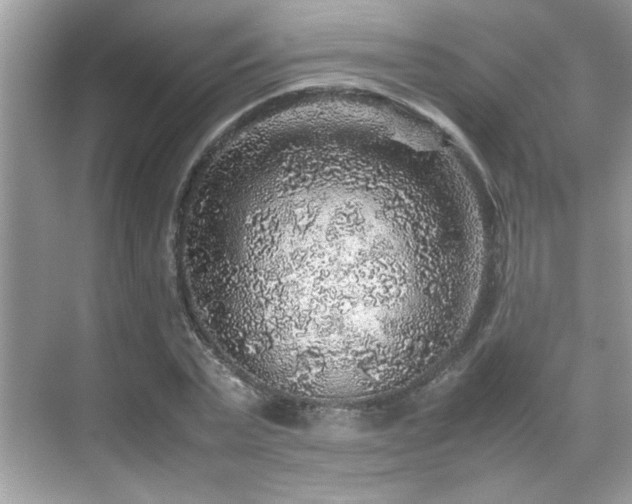 X0000070410783200606121329