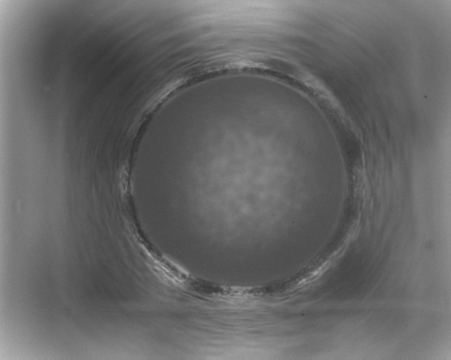 X0000070410785200606121329