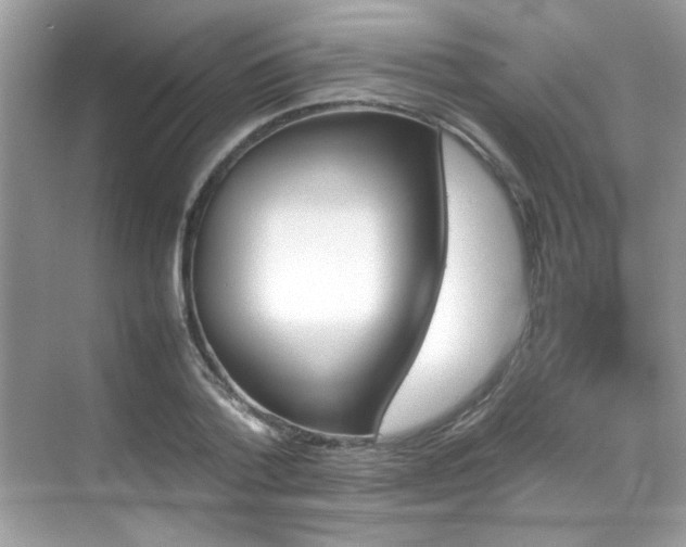 X0000070410788200606121329