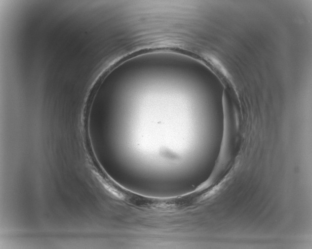 X0000070410789200606121329