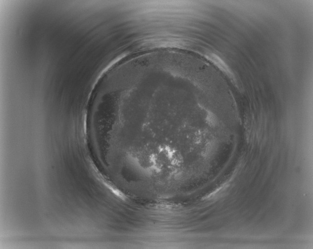 X0000070410790200606121328