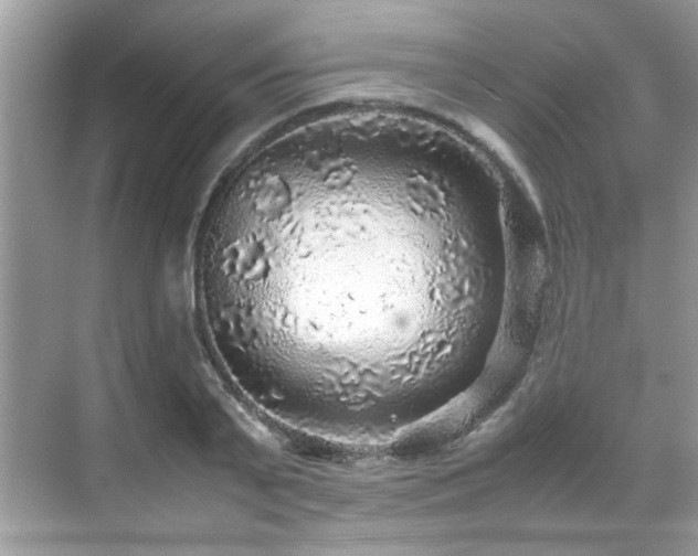 X0000070410791200606121328