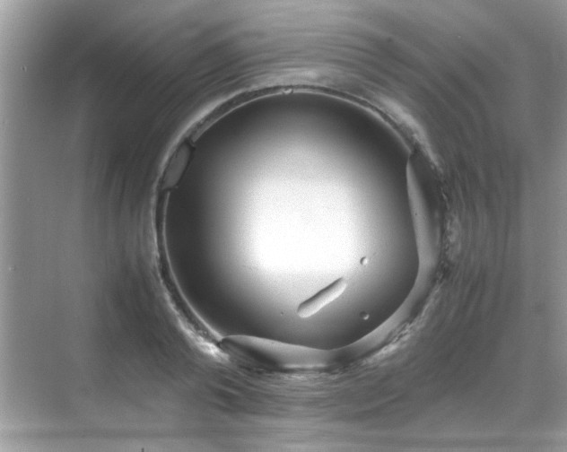 X0000070410792200606121328