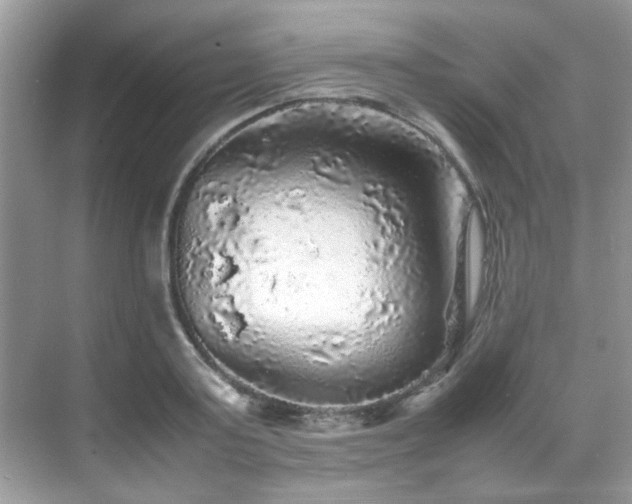 X0000070410795200606121328