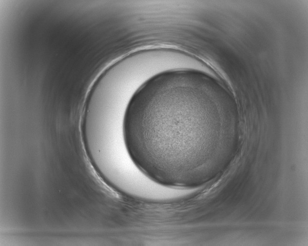 X0000070410797200606121328