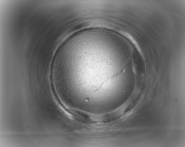 X0000070410799200606121328