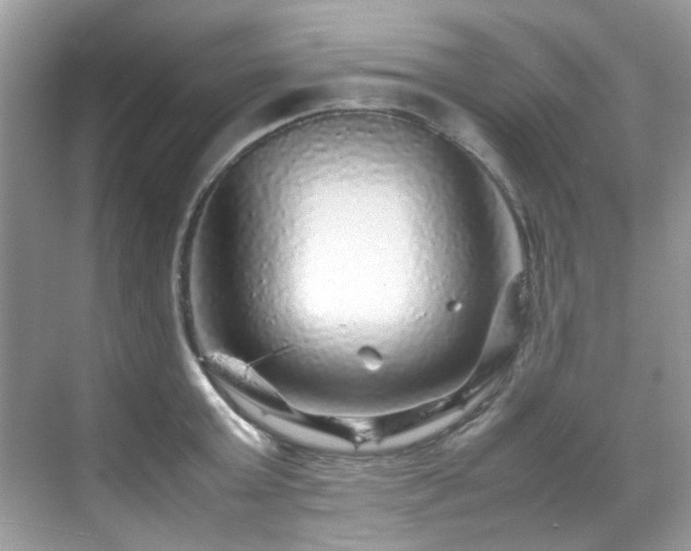 X0000070410803200606121328