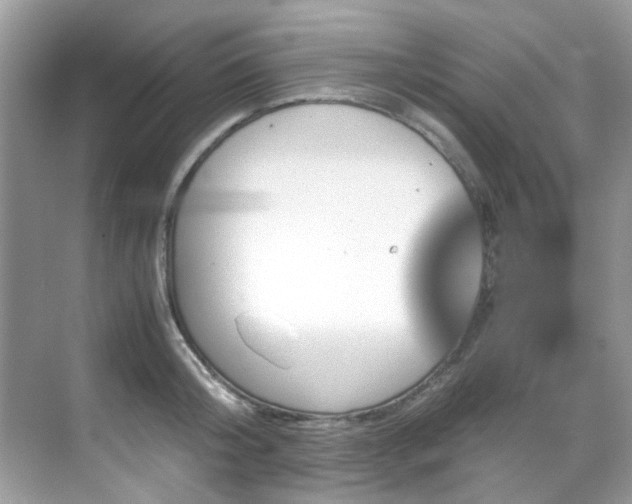 X0000070410804200606121328