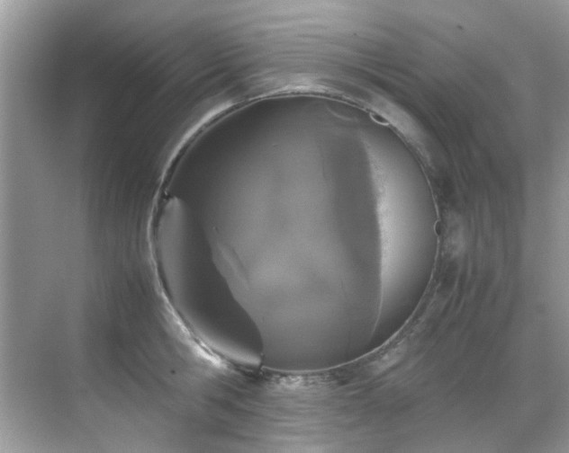 X0000070410806200606121328