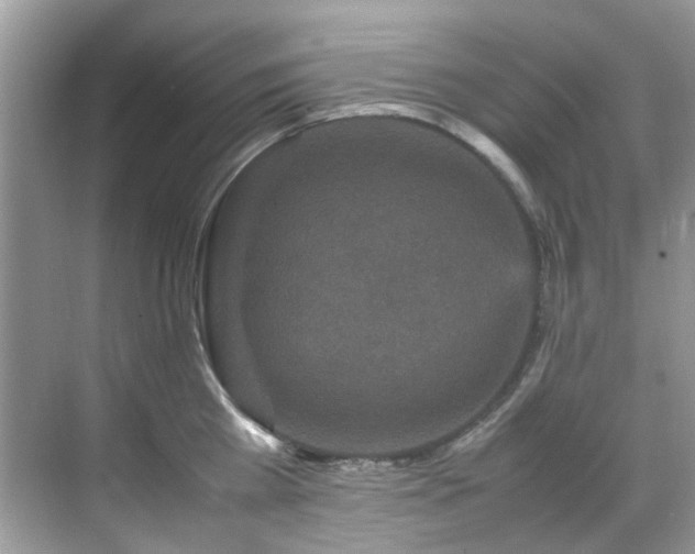 X0000070410809200606121328