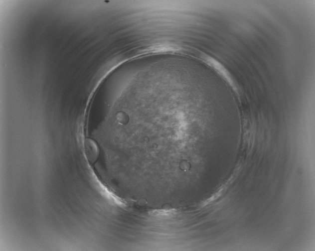 X0000070410810200606121328