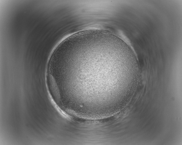 X0000070410811200606121328