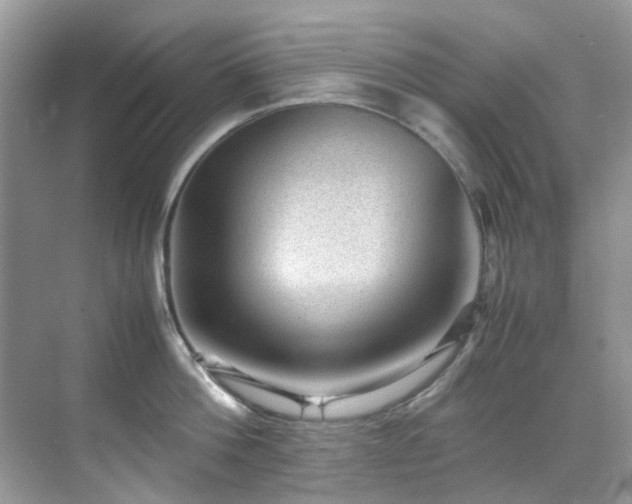 X0000070410812200606121328