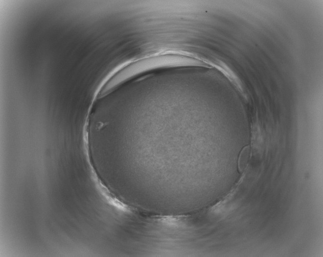 X0000070410814200606121328