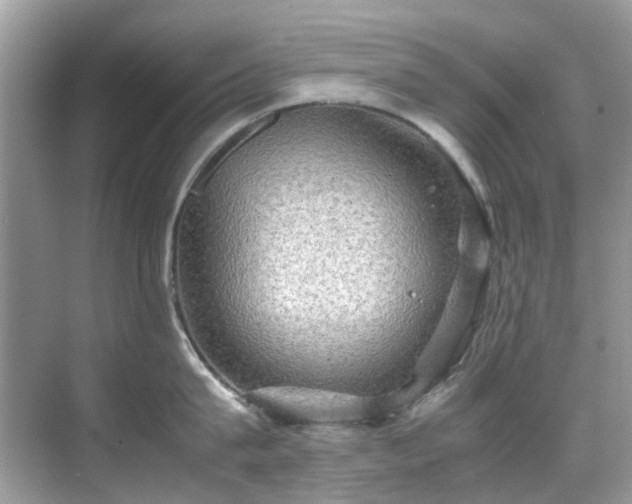 X0000070410815200606121328