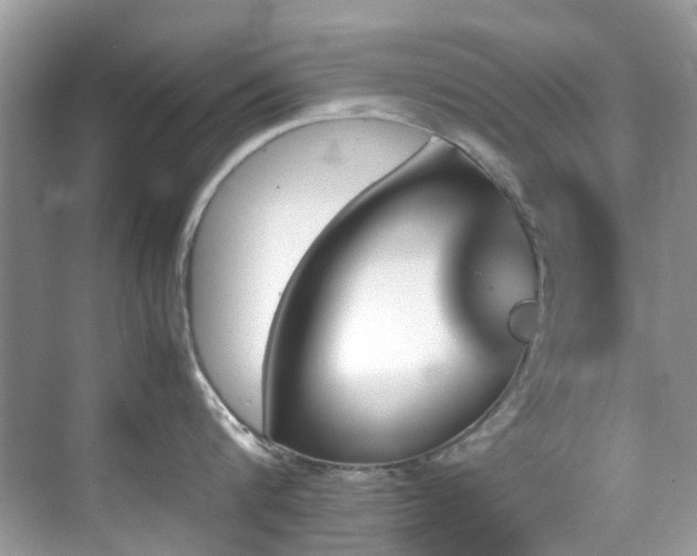 X0000070410816200606121328