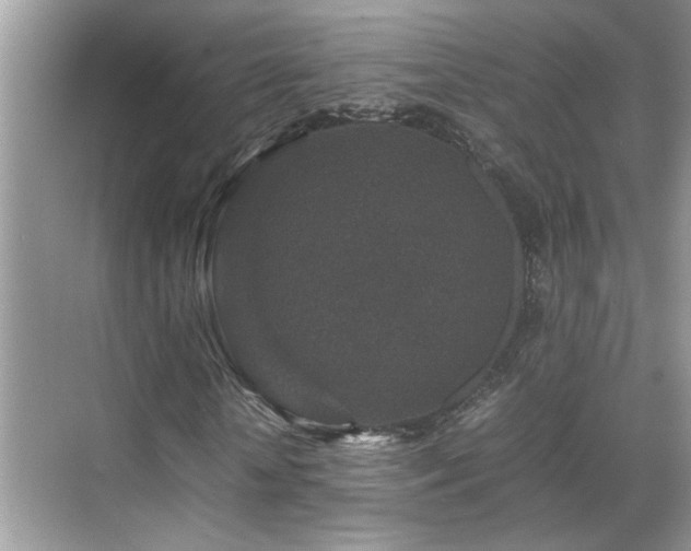 X0000070410818200606121327