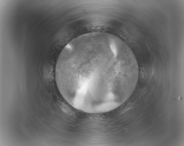 X0000070410820200606121327