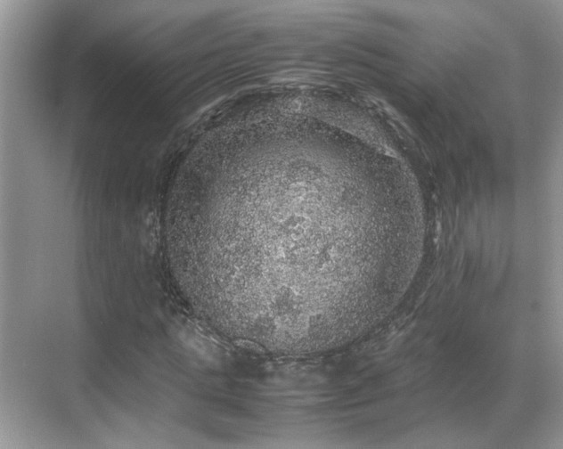 X0000070410821200606121327