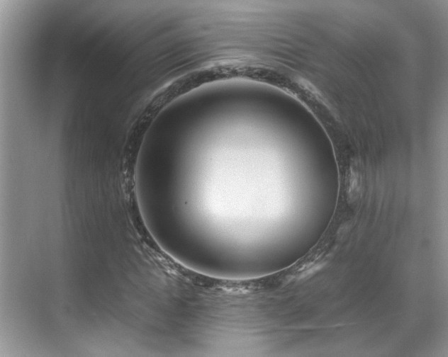 X0000070410822200606121327