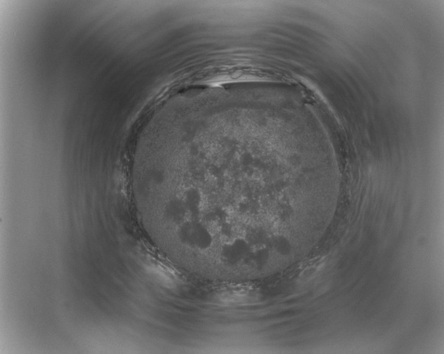 X0000070410823200606121327