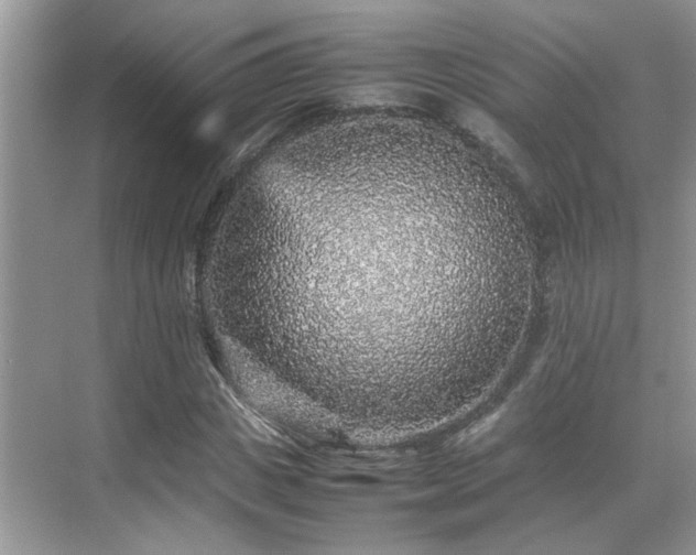 X0000070410825200606121327