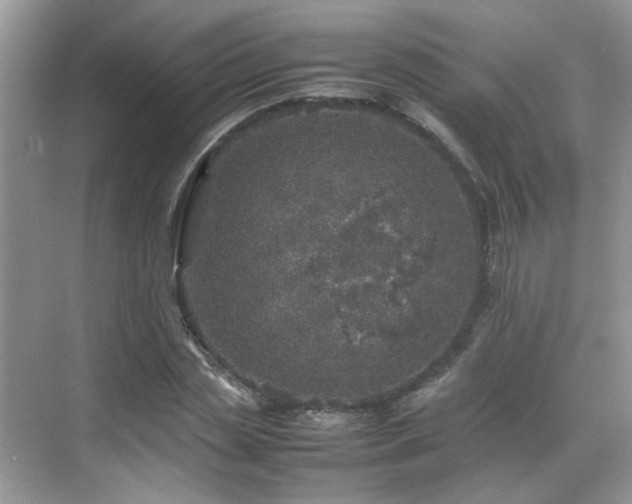 X0000070410829200606121327