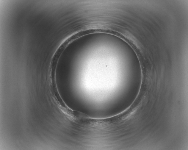 X0000070410830200606121327