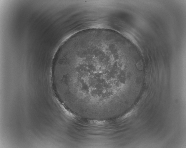 X0000070410831200606121327