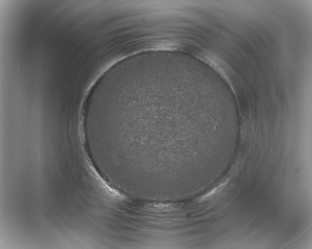 X0000070410835200606121328