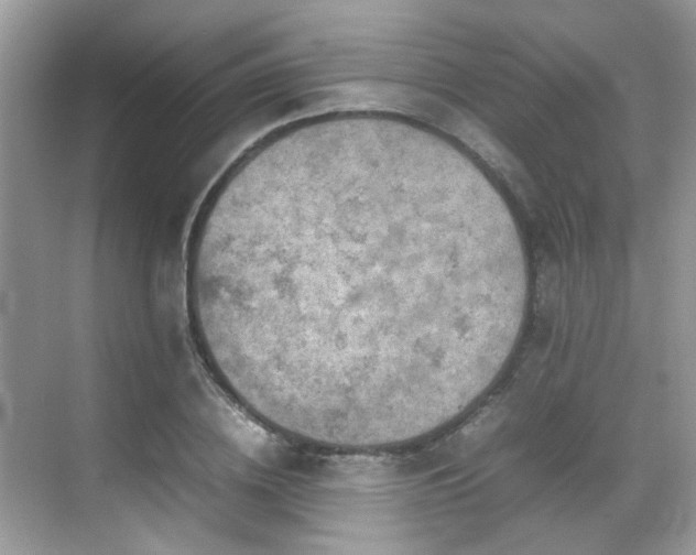 X0000070410836200606121328