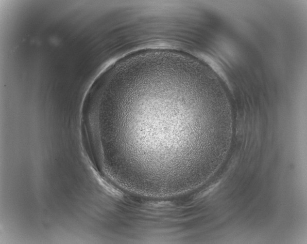 X0000070410837200606121328