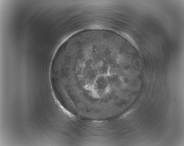 X0000070410839200606121328