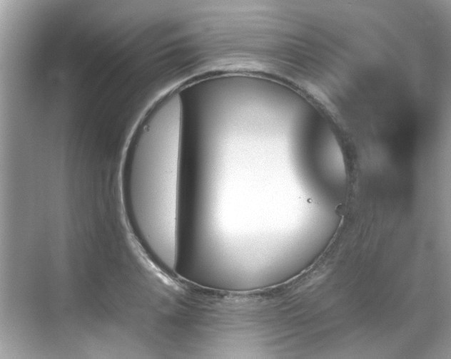 X0000070410840200606121328