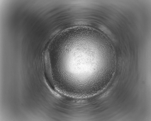 X0000070410841200606121328