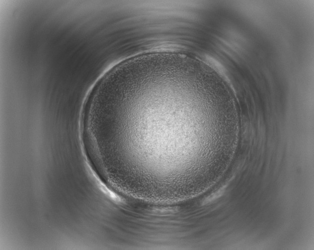 X0000070410843200606121328