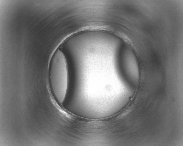 X0000070410844200606121328