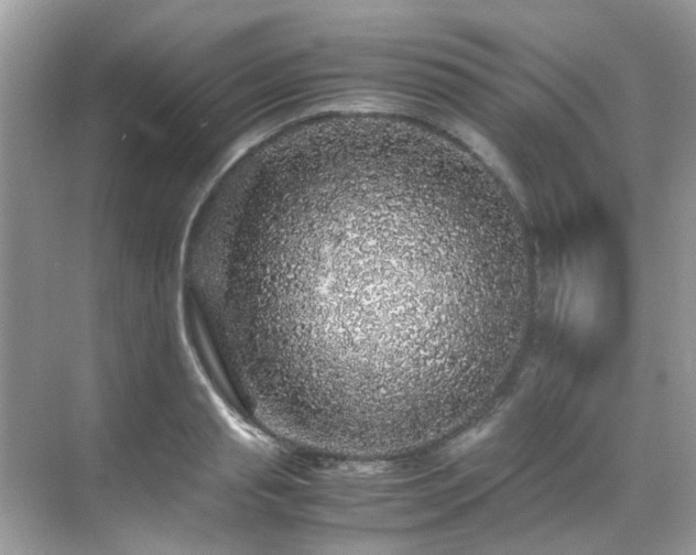 X0000070410845200606121328