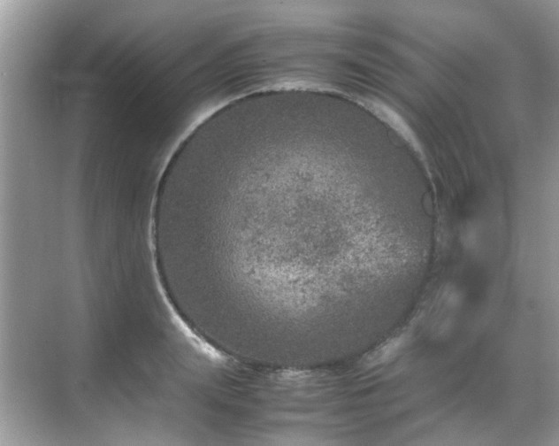 X0000070410847200606121328