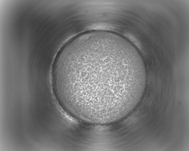 X0000070410848200606121328