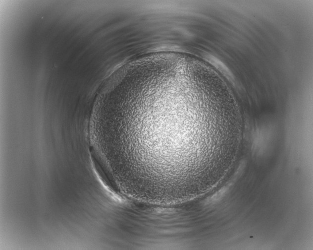 X0000070410849200606121328