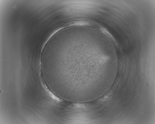 X0000070410852200606121328