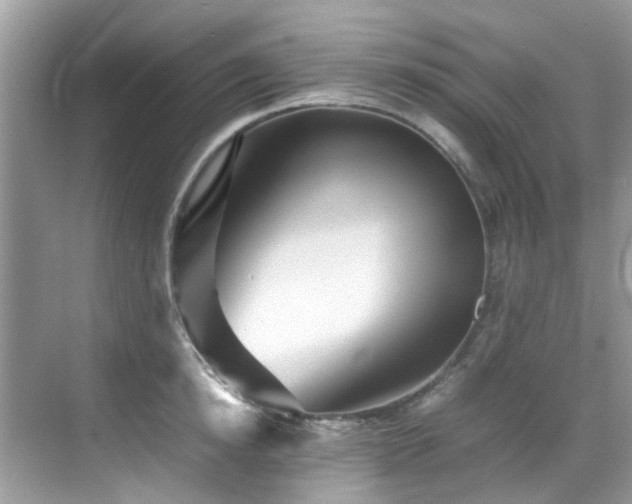 X0000070410854200606121328