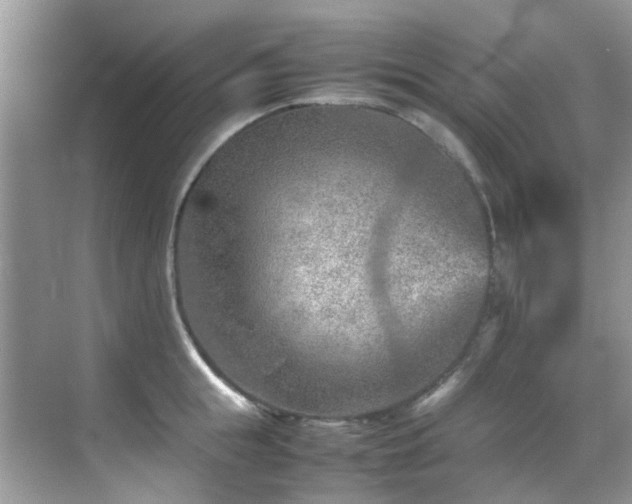 X0000070410855200606121328