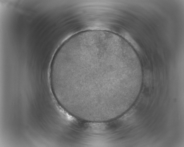 X0000070410856200606121328