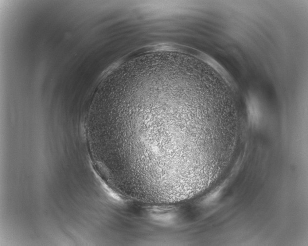 X0000070410857200606121328