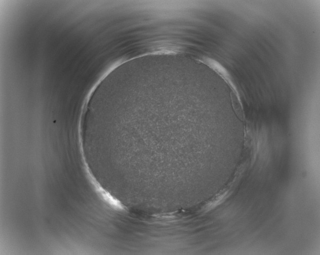 X0000070410859200606121328